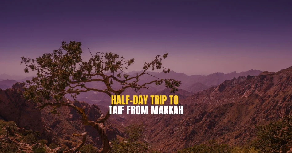Half-Day Trip to Taif from Makkah