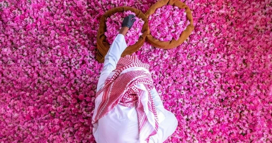 Half-Day Trip to Taif from Makkah