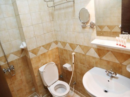 Riyadh Al Diyafah Hotel - image 16
