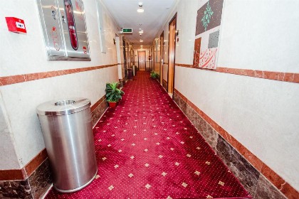 Sama Al Deafah Hotel - image 4