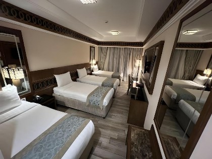 Violet Hotel - image 18