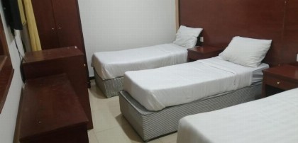 الحجاز - image 3