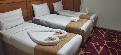 Manart Al Misk Hotel - image 1