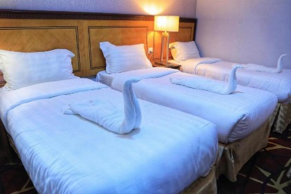 Manart Al Misk Hotel - image 19