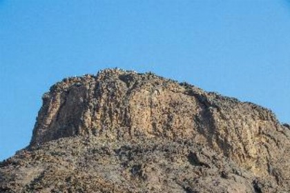 Makkah altelal tower  - image 1