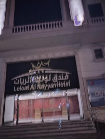 فندق لؤلؤة الريان - image 2