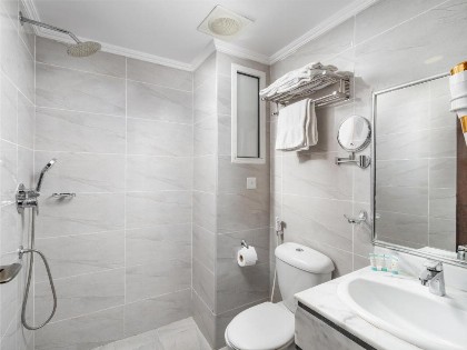 فندق الايام ايليت Alayam Elite Hotel - image 13
